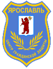 СДО ЦГЗ